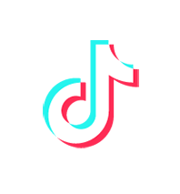 TikTok Icon